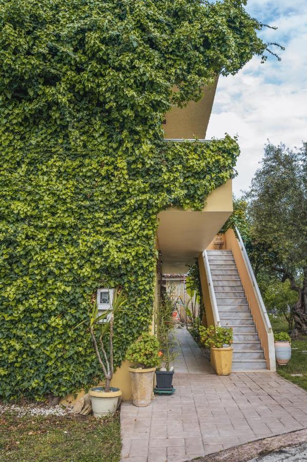 Abelia Boutique Rooms Tsilivi  Exteriér fotografie